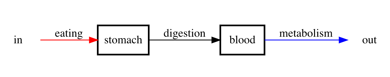 Compartment diagram describing the pathway from food to metabolism